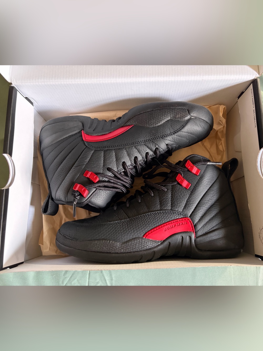 BRAND NEW - Jordan Retro 12 Bloodline